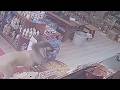 Dog’s bizarre lion-style haircut leaves terrified shop cat fleeing for cover | SWNS
