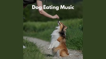 Outstanding Moods for Forgetting Mirrors