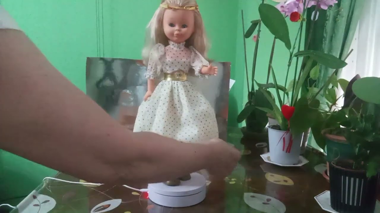 NANCY CUMPLEAÑOS Y CONJUNTO GRANJA DE LOS 70