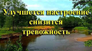 Пение птиц улучшает настроение, снижает уровень тревоги и депрессии. #музыкадлясна