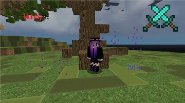 MunchyMC 1v1´s
