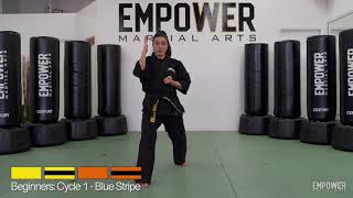 Beginners: Cycle 1 - Blue Stripe
