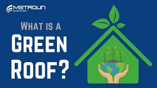 What Is A Green Roof (Living Roof)?