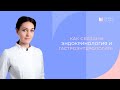 Как связаны эндокринология и гастроэнтерология?