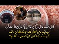 Expensive Pink Himalayan Salt GI Tag Enables Locals To Start Exporting and Earning | Gwadar CPEC
