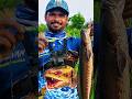 🤩BIG FISH Catch in 🐸 LURECRAFT PENDEK 💯 SEAWALK XT ROD #fishing #review #fishingrod