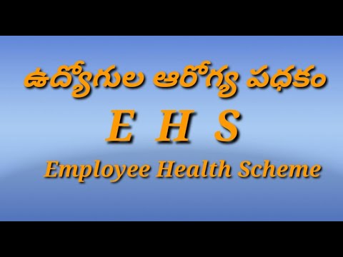 Employees Health Scheme ( EHS )