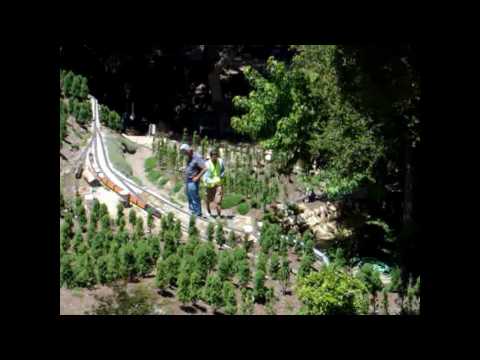 Gary Siegel's SP Santa Cruz Div Garden Railroad Op...