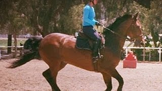 Horsing Around Big Bang Theorys Kaley Cuoco Slips On Pink Sungles To Take Thor