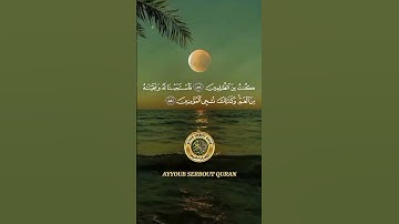 سورة الأنبياء الآية 86-88 تلاوة الشيخ الأنصاري