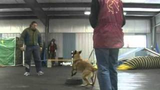 Cindy and Rush Training the Object Guard with Michael Ellis - October 3rd, 2010