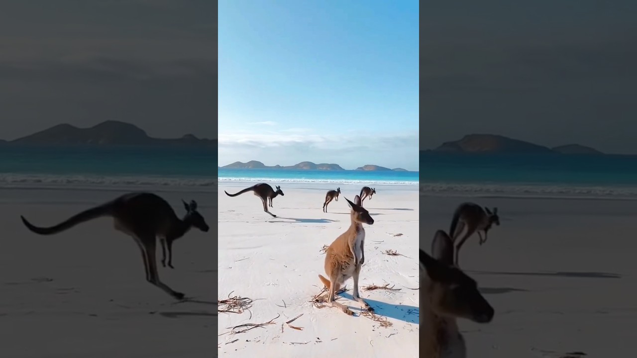 Places On Earth That Don’t Feel Real 😱😳 #travel #explore #adventure #shorts