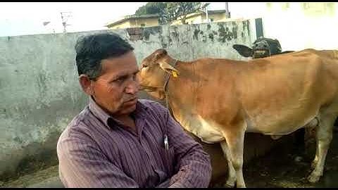 Ration Balancing Programme, Saahaj MPC