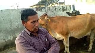 Ration Balancing Programme, Saahaj MPC