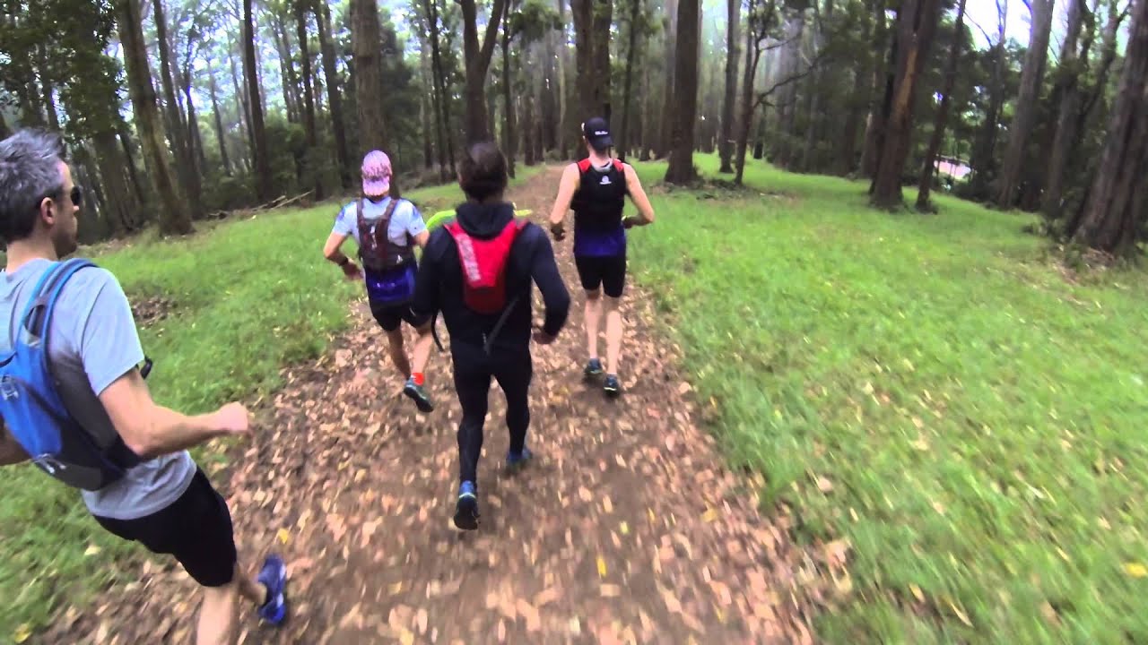 Rollercoaster Run mt Dandenong