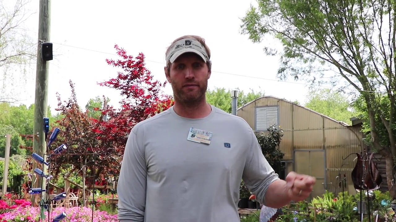 Flower Nursery In Dothan Al Best Flower Site