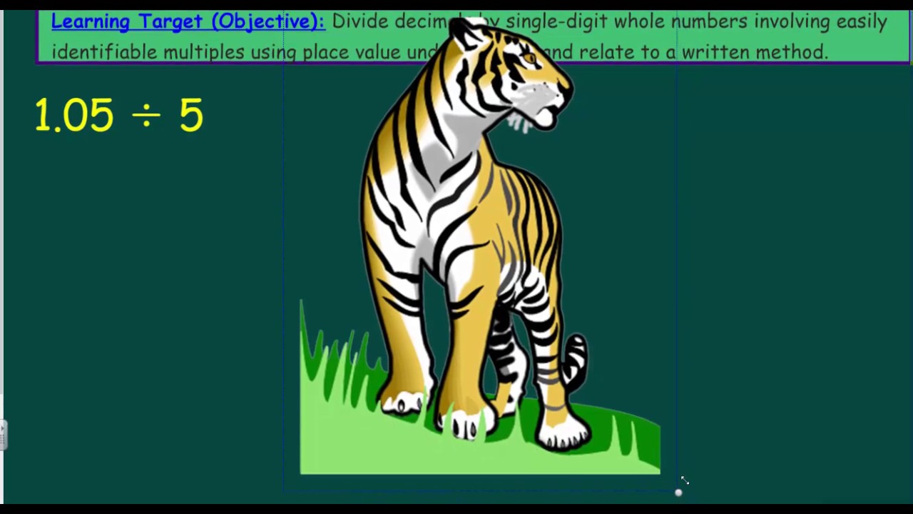Engageny Eureka 5th Grade Math Module 1 Lesson 13 Divide decimals by ...