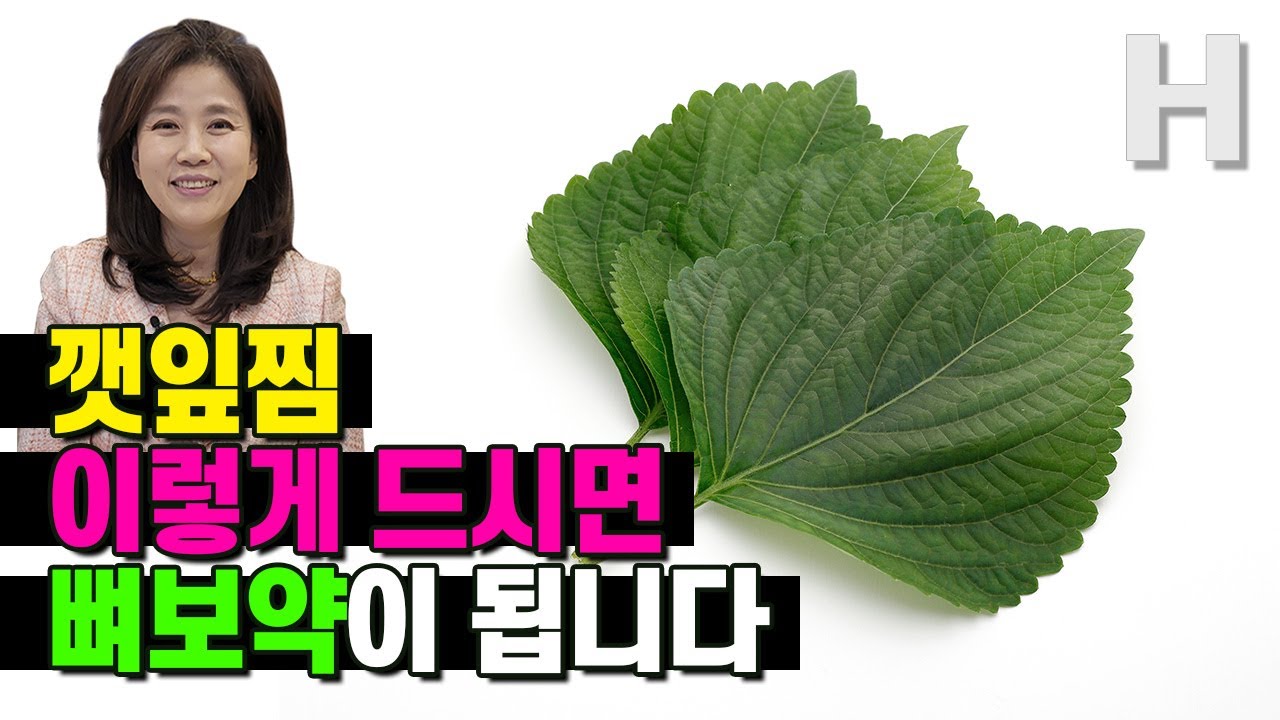 깻잎을 맛있고 건강하게 먹는 법! 칼슘폭탄 깻잎찜으로 뼈건강 지켜봐요!