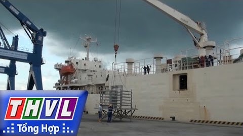 THVL | Người đưa tin 24G: Cảng Tân Cảng - Cái Cui đón tàu trọng tải hơn 6.200 tấn