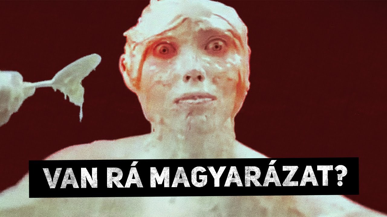 A YouTube furcsa videóinak története