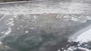 Bega inghetata - Timisoara (07.01.2015)