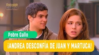 Pobre Gallo - Andrea y Borja Capítulo 77