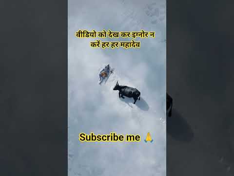 वीडियो को देख कर इग्नोर न  करें हर हर महादेव #shrots #viral