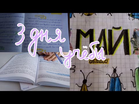 3 дня учёбы || мой продуктивный день || study with me №9