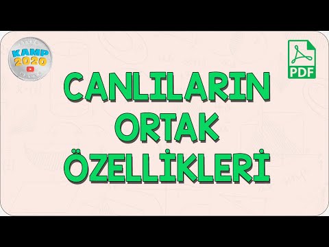 Video: Hangi yapılar ortak bir ataya kanıt sağlar?