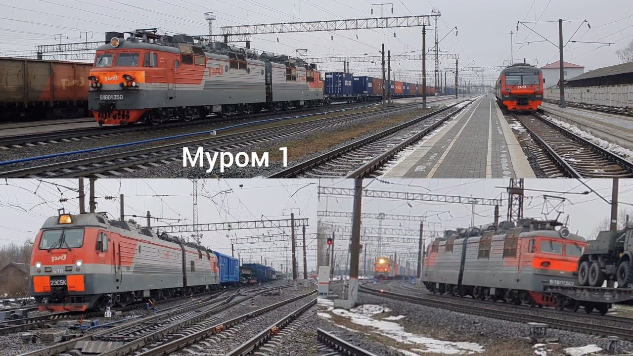 движение грузовых поездов по станции Муром Гор.ж.д. | ноябрь 2021