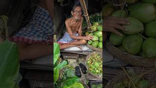 Don’t Drink These Coconuts in India 🇮🇳