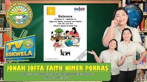 SCIENCE 7 (Quarter 2-Module 4): The Cells