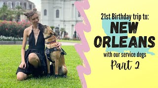 New Orleans Trip with our Service Dogs | Part 2 | Major Access Issues by TheServiceHyena 3,470 views 2 years ago 33 minutes