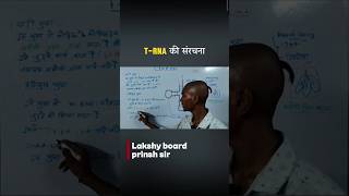 🔥 t-RNA की संरचना | Bihar Board Class 12 Biology 2027 | 100% Exam Important #shorts