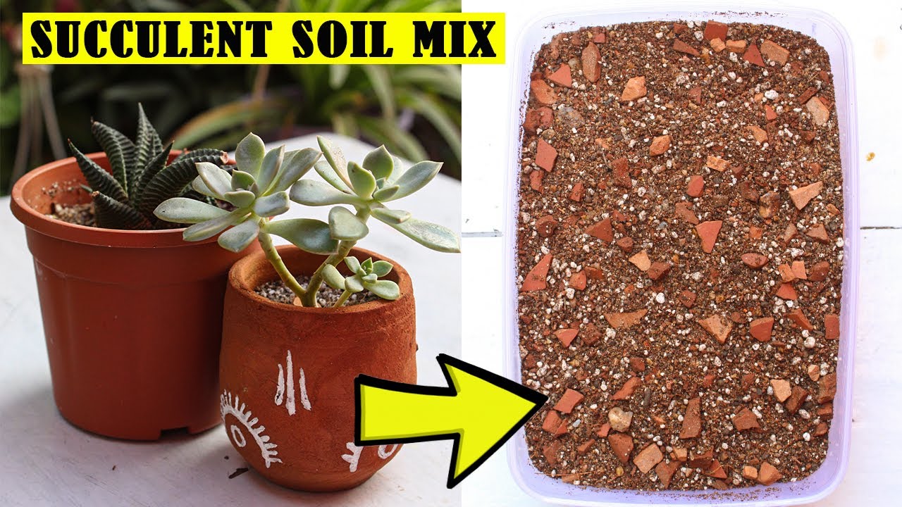 How to prepare perfect soil mix for succulents | Engineer's Planter ...