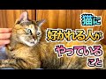 猫に好かれたい人必見！猫に好かれる人の特徴５選