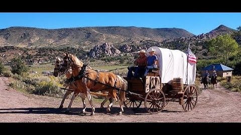 Our team Ben ￼and Banjo with a horse drawn wagon.