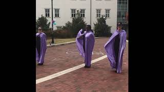 Theta Nu Xi Multicultural Sorority Inc.- Alpha Nu Chapter Emergence Spring 2018