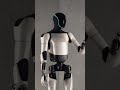 Tesla Bot Unveiled: The Future is Here!