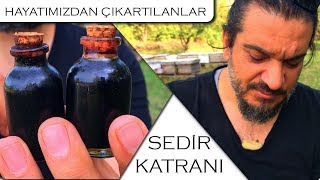 Katran (Sedir Katranı) Faydaları Resimi