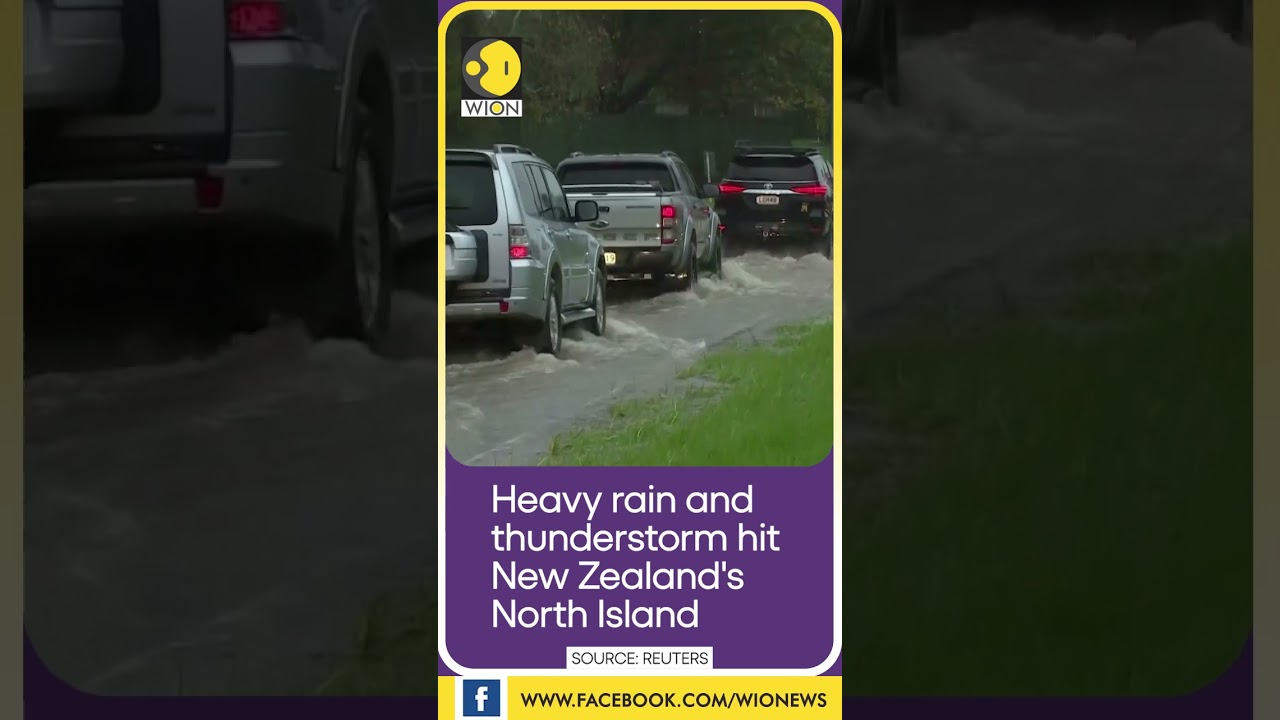 Flash floods hit New Zealand's North Island | WION Shorts