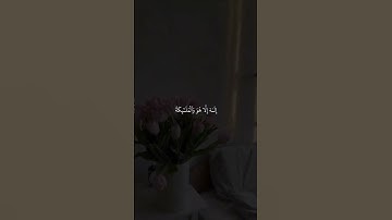 #قرآن كريم #سورة_آل_عمران #ماهر_المعيقلي