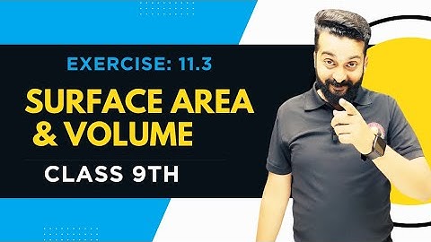Class 9 Maths Exercise 11.3 | Surface Areas & Volumes | NCERT Solutions | Full Explanation in Hindi