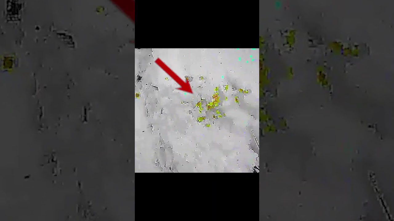 жёлтый снег к новогоднему вайбу ❄️