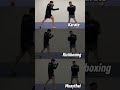 Middle kick breakdown — Karate 🥋Kickboxing 🥊 Muay Thai 🇹🇭 Which style are you repping?
