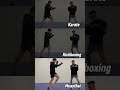 Middle kick breakdown — Karate 🥋Kickboxing 🥊 Muay Thai 🇹🇭 Which style are you repping?