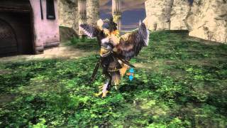 Rappelz Bug: Motion freeze