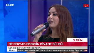 ELİF AVCI NE FERYAD EDERSİN DİVANE BÜLBÜL ÜLKE TV Resimi