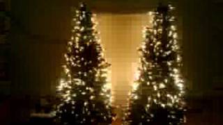 Mini tree test 2.5