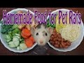 Pet Rat Diet - Requested